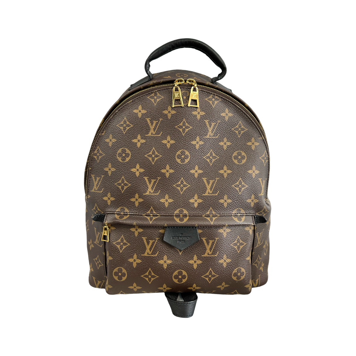 Louis Vuitton Monogram Palm Springs MM