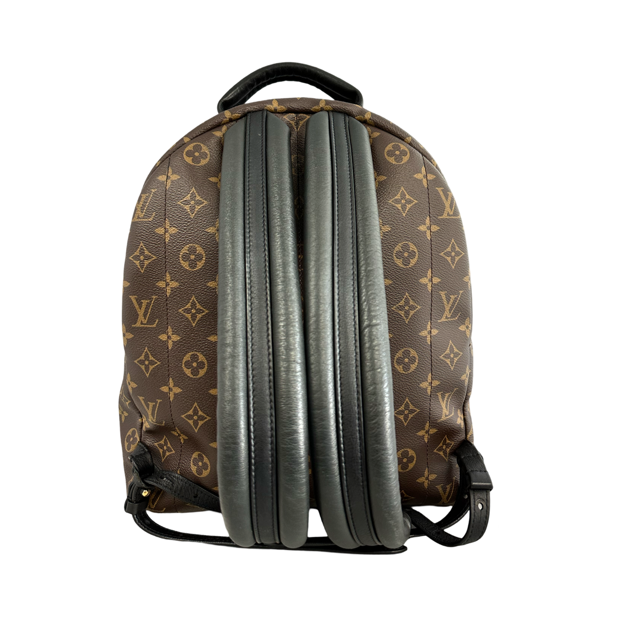 Louis Vuitton Monogram Palm Springs MM