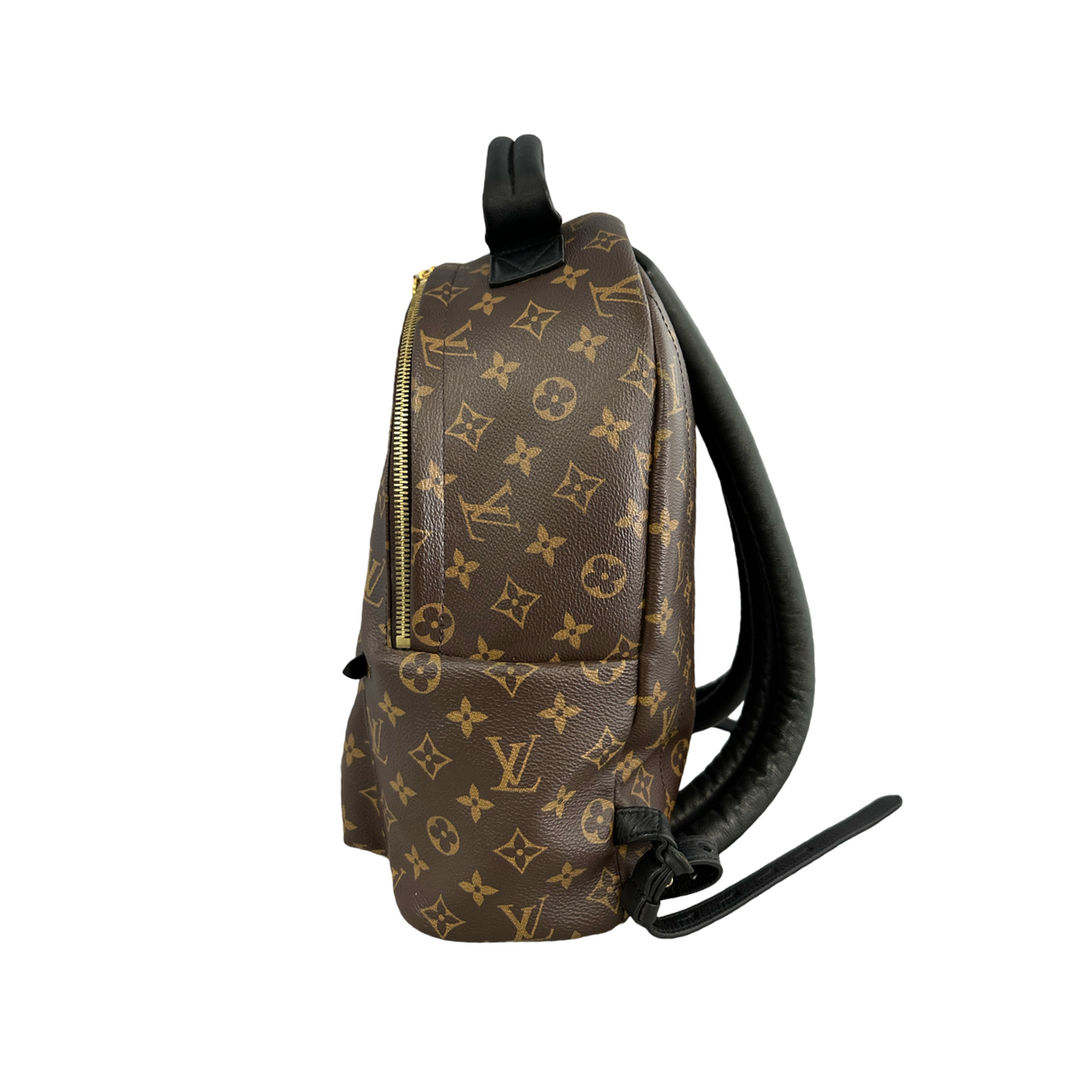 Louis Vuitton Monogram Palm Springs MM