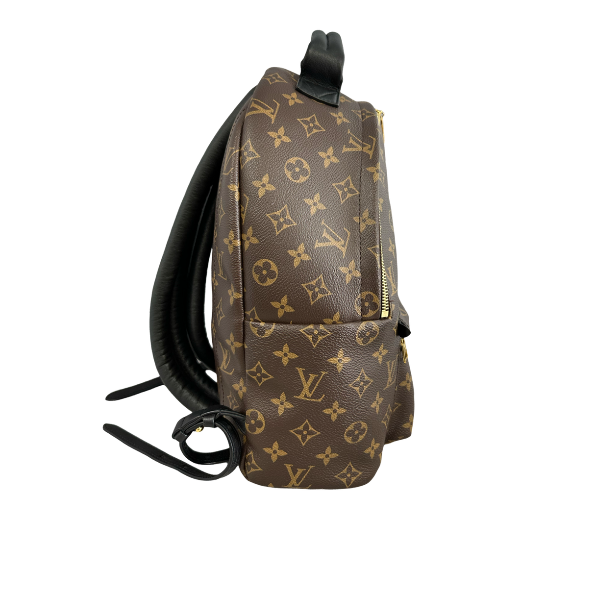 Louis Vuitton Monogram Palm Springs MM