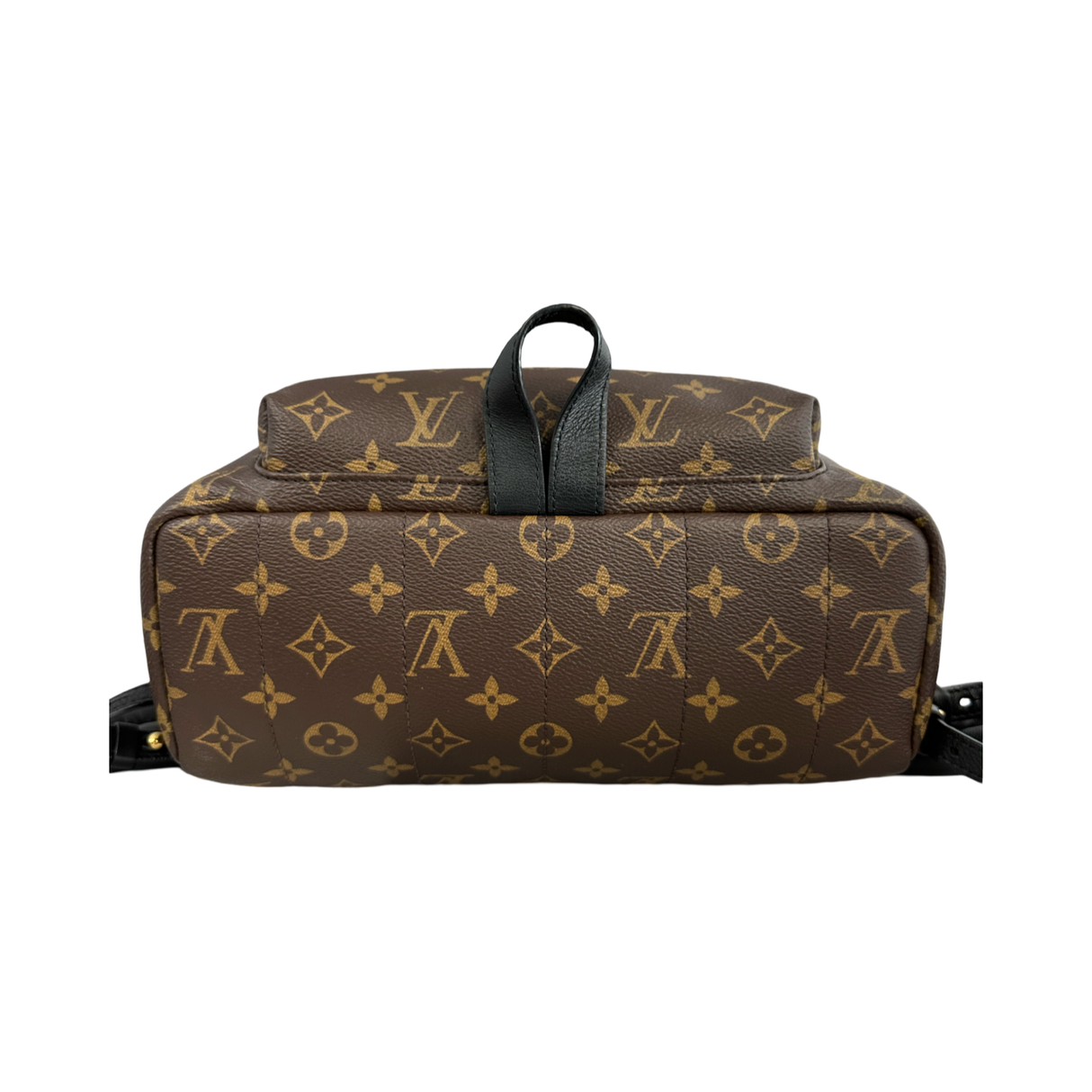 Louis Vuitton Monogram Palm Springs MM