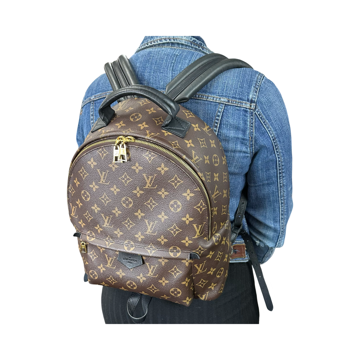Louis Vuitton Monogram Palm Springs MM