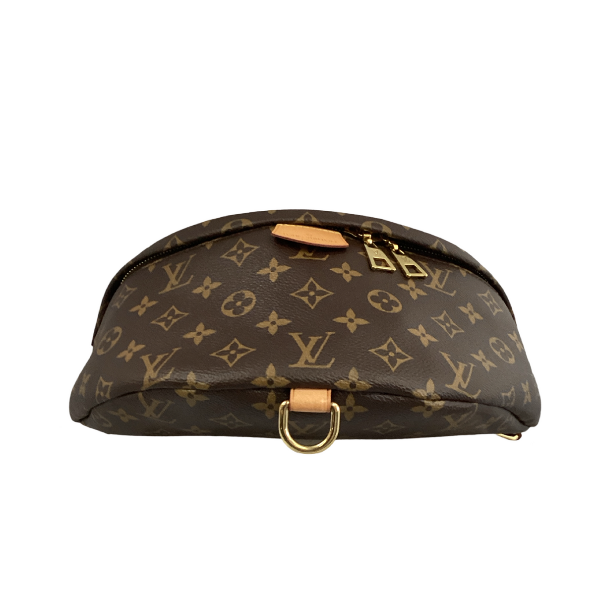Louis Vuitton Monogram BumBag