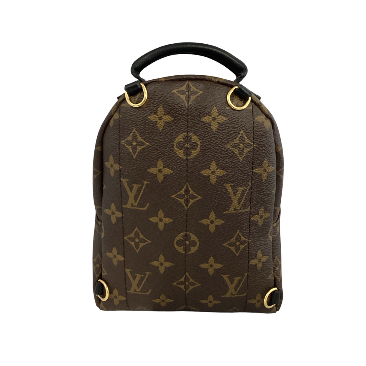 Louis Vuitton Monogram Palm Springs Mini