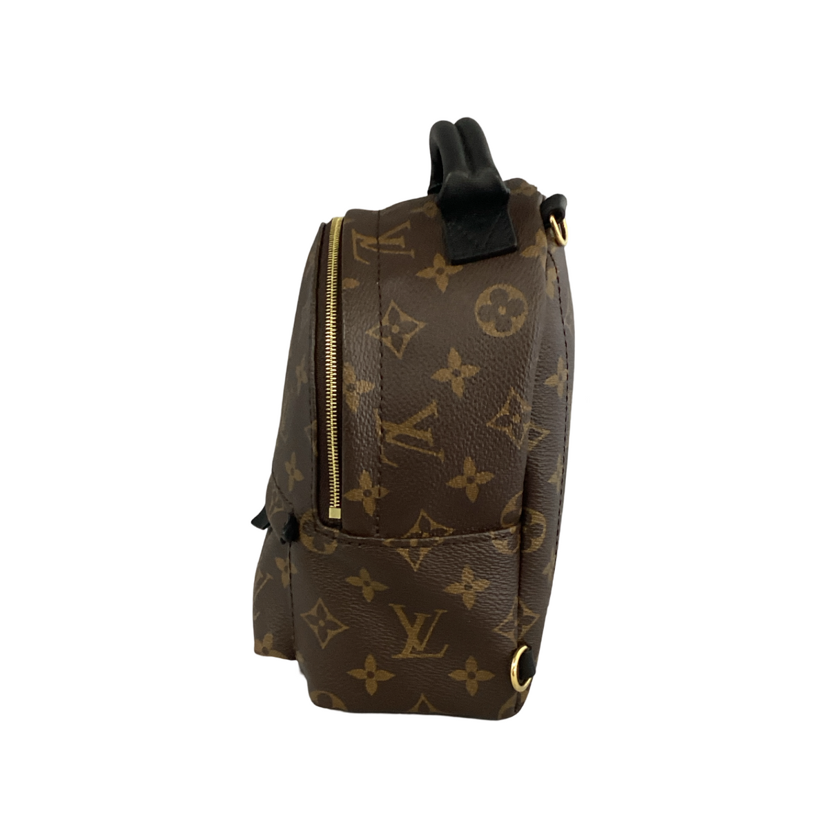 Louis Vuitton Monogram Palm Springs Mini