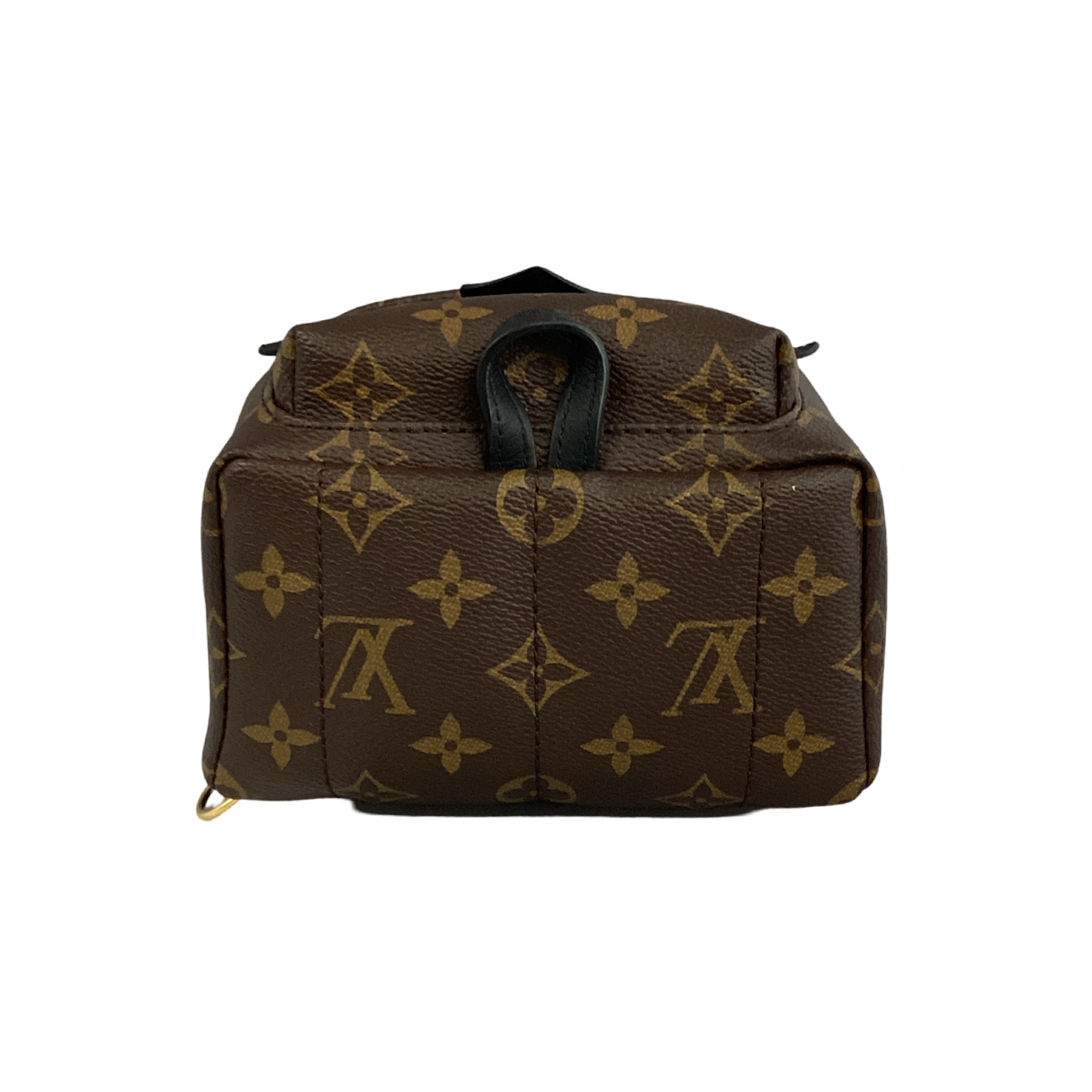 Louis Vuitton Monogram Palm Springs Mini