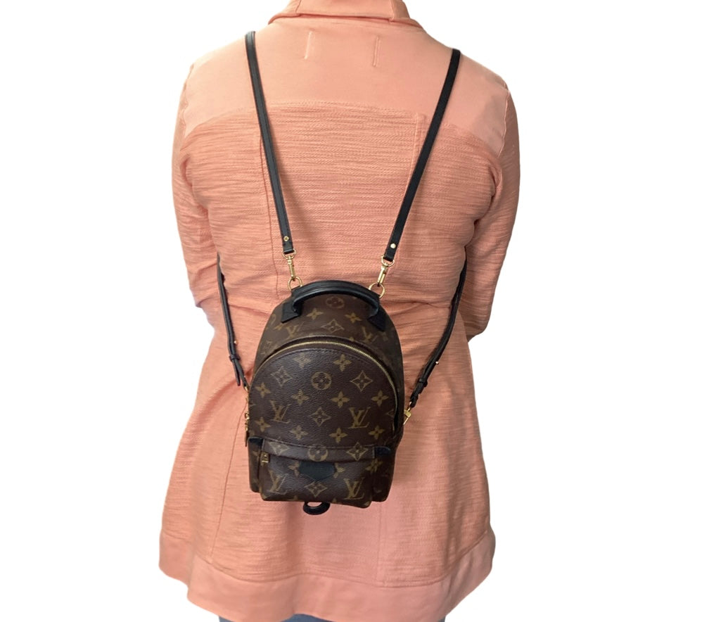Louis Vuitton Monogram Palm Springs Mini