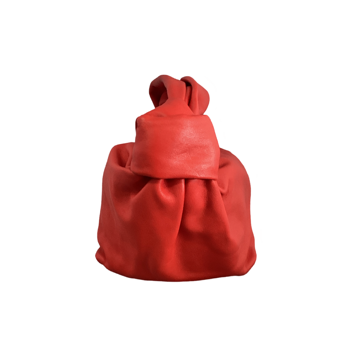 Bottega Veneta Mini Leather Double Knot Hobo