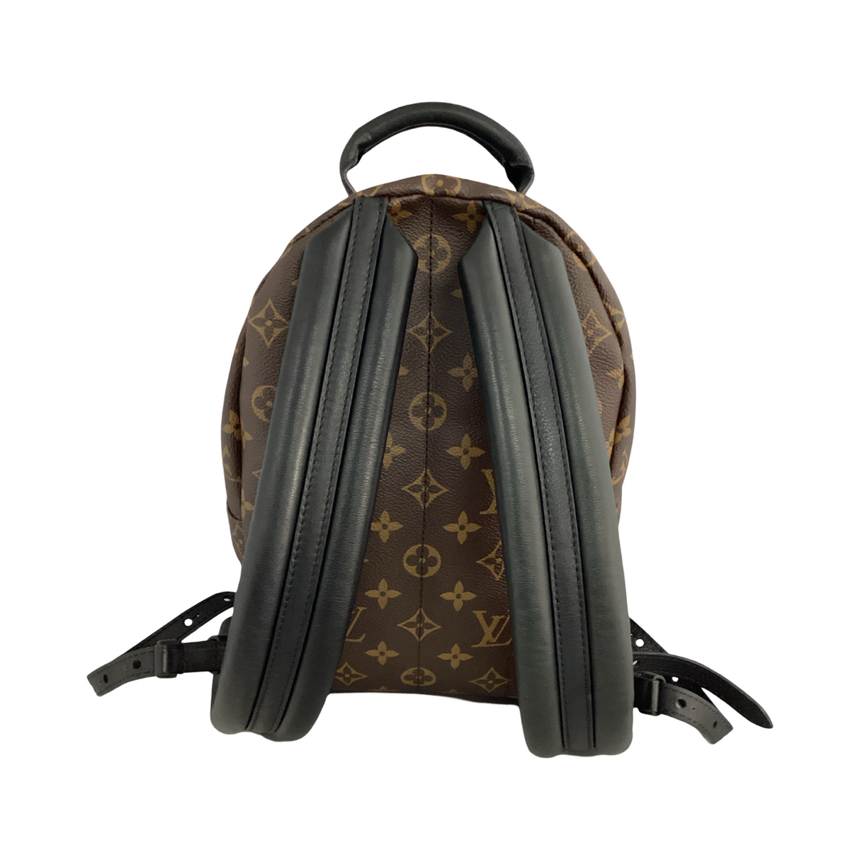 Louis Vuitton Monogram Palm Springs Backpack MM