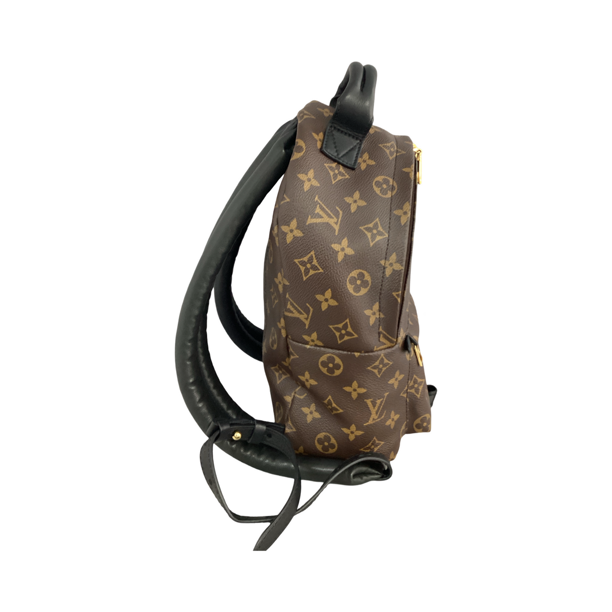 Louis Vuitton Monogram Palm Springs Backpack MM