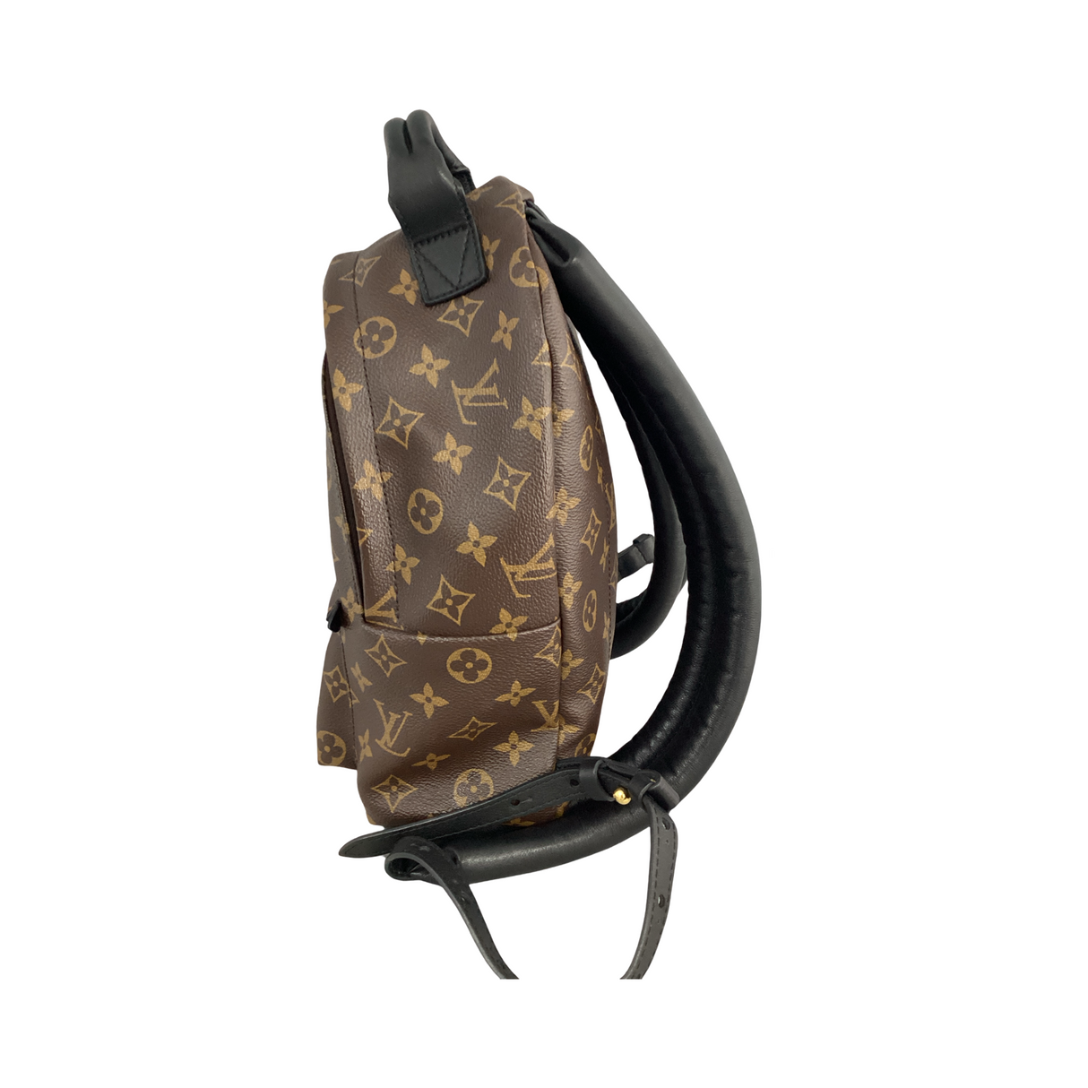 Louis Vuitton Monogram Palm Springs Backpack MM