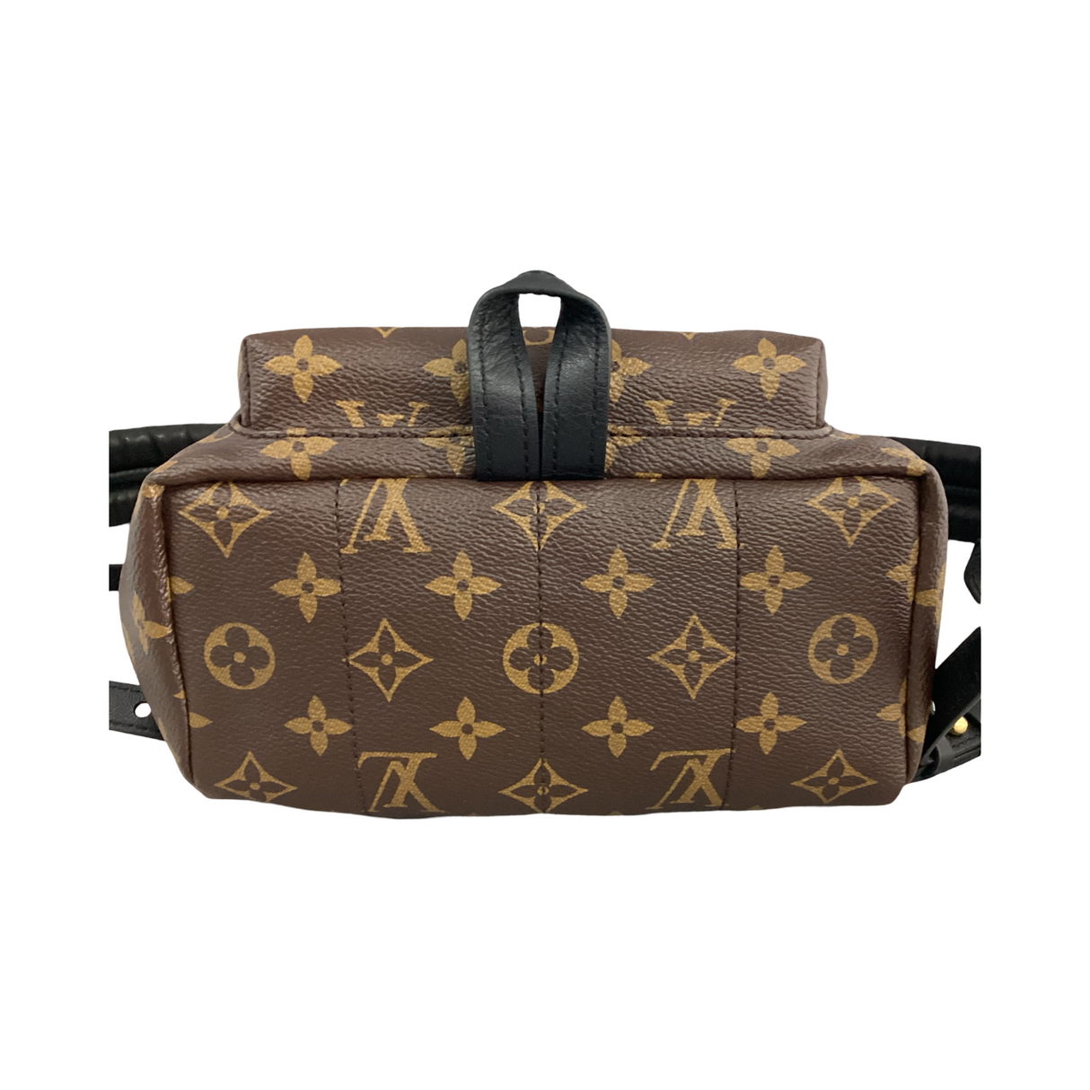 Louis Vuitton Monogram Palm Springs Backpack MM