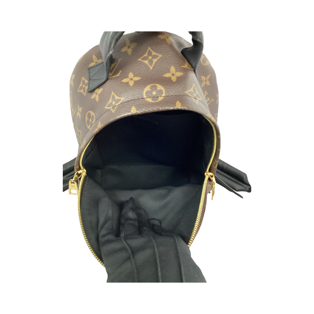 Louis Vuitton Monogram Palm Springs Backpack MM