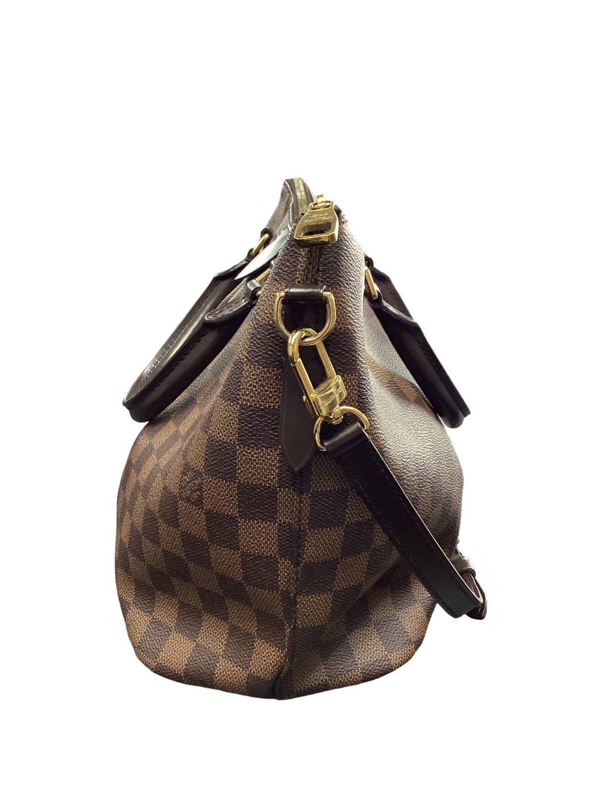 Louis Vuitton Damier Ebene Siena MM