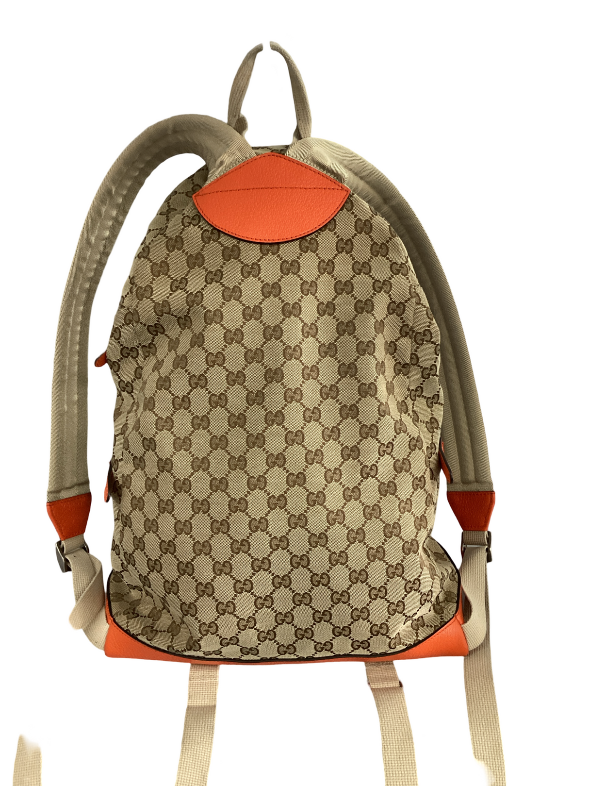 Gucci North Face X Gucci Backpack