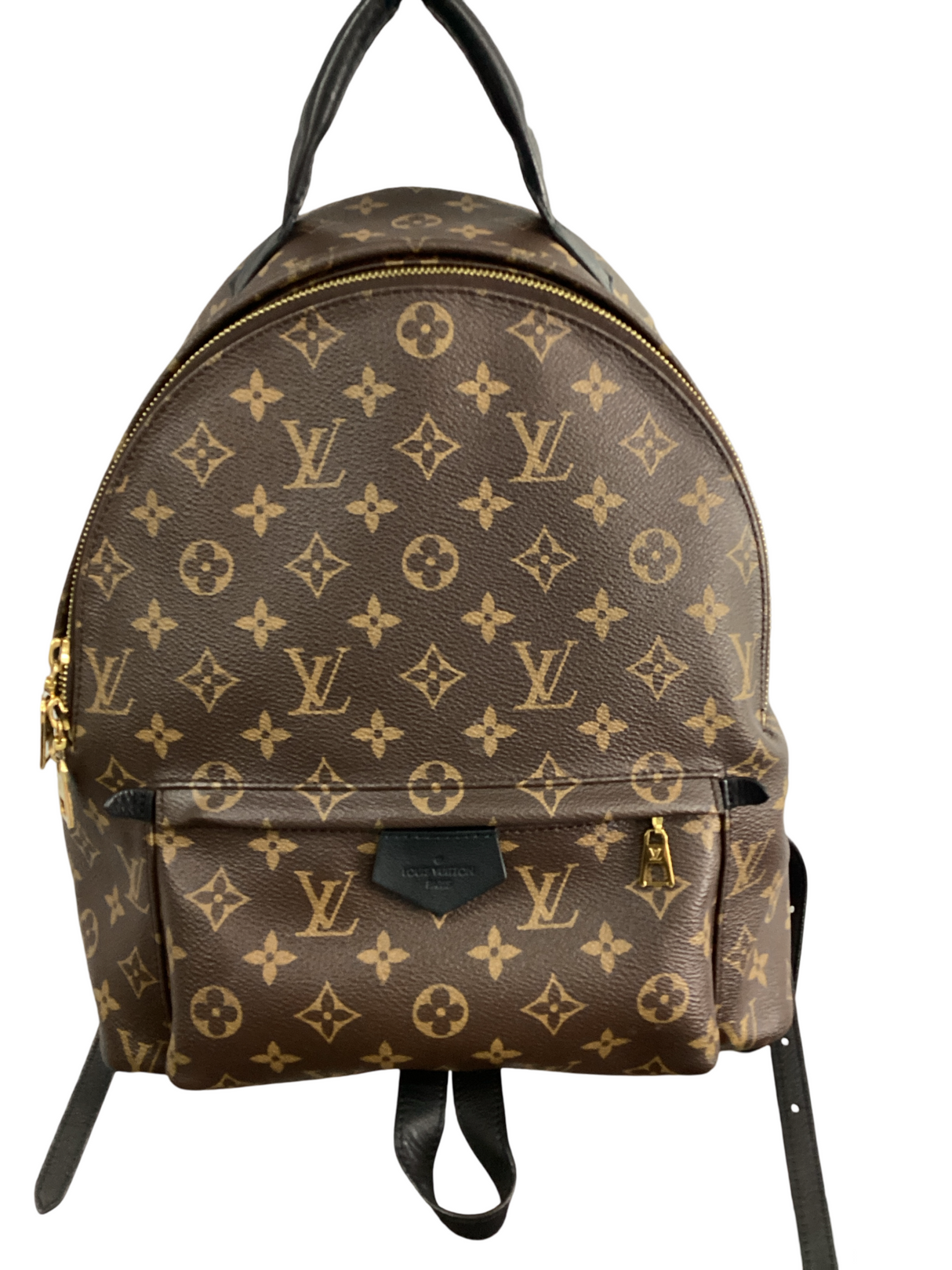 Louis Vuitton Monogram Palm Springs MM