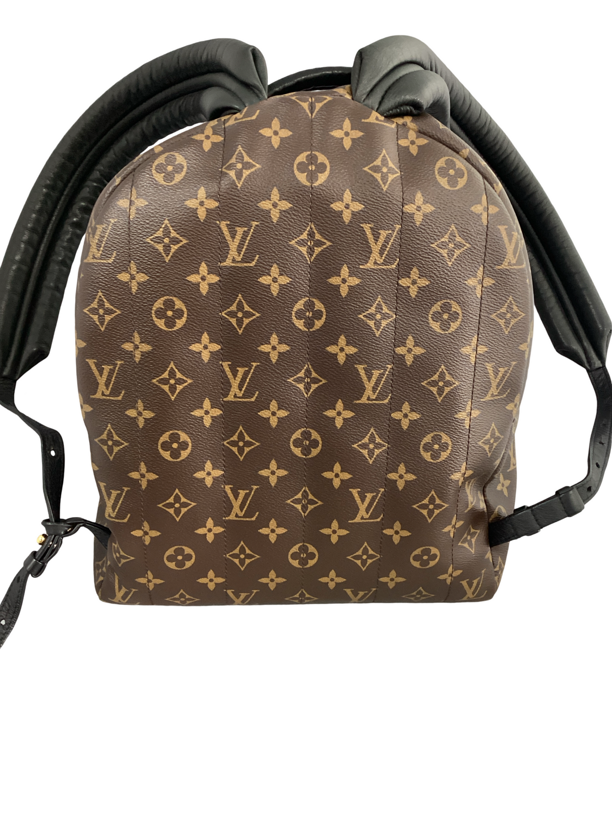 Louis Vuitton Monogram Palm Springs MM