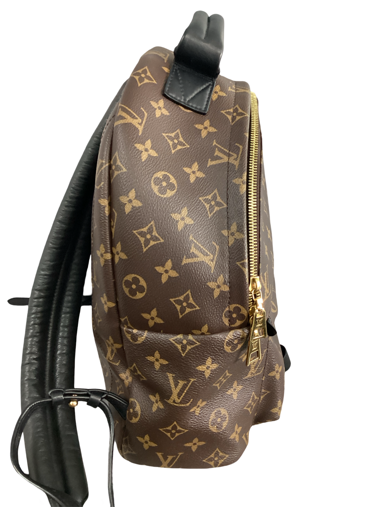 Louis Vuitton Monogram Palm Springs MM