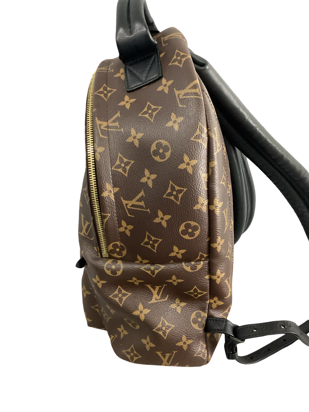 Louis Vuitton Monogram Palm Springs MM