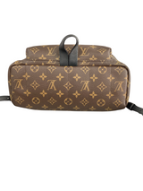 Louis Vuitton Monogram Palm Springs MM