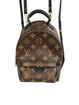 Louis Vuitton Palm Springs Mini Backpack