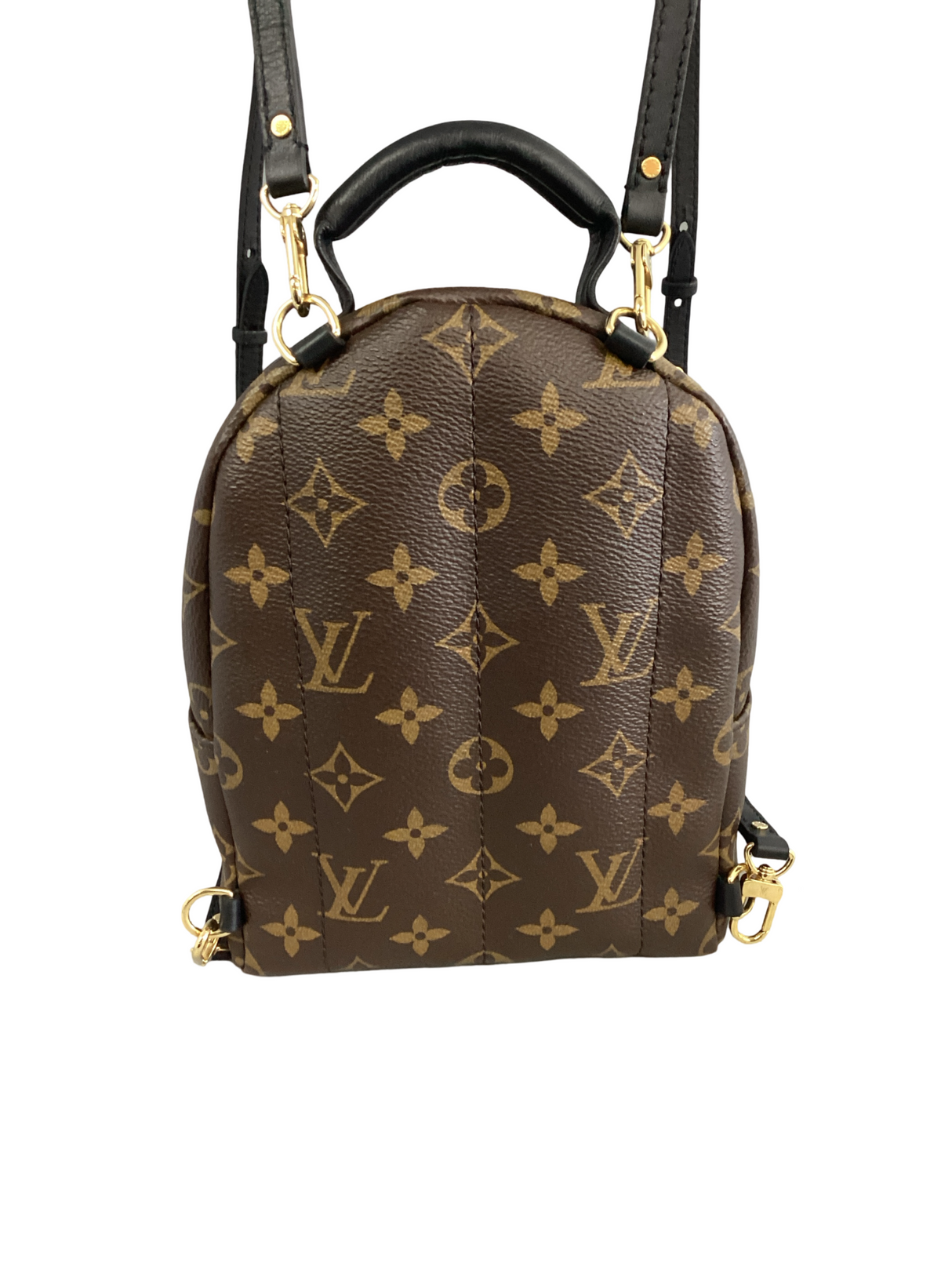 Louis Vuitton Palm Springs Mini Backpack