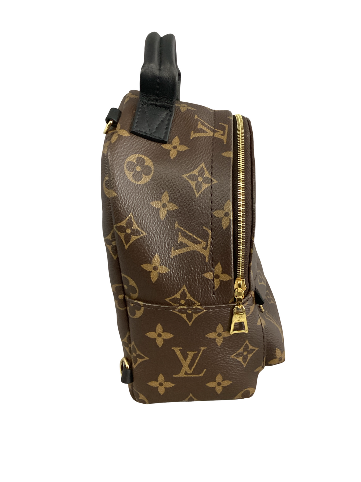 Louis Vuitton Palm Springs Mini Backpack