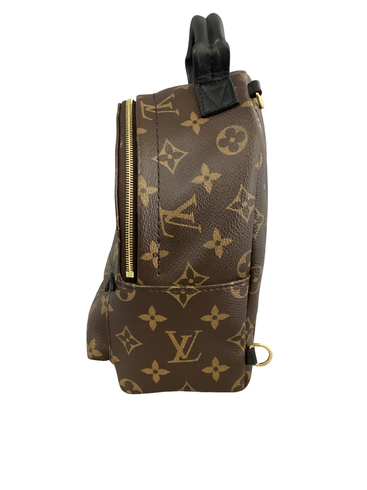 Louis Vuitton Palm Springs Mini Backpack