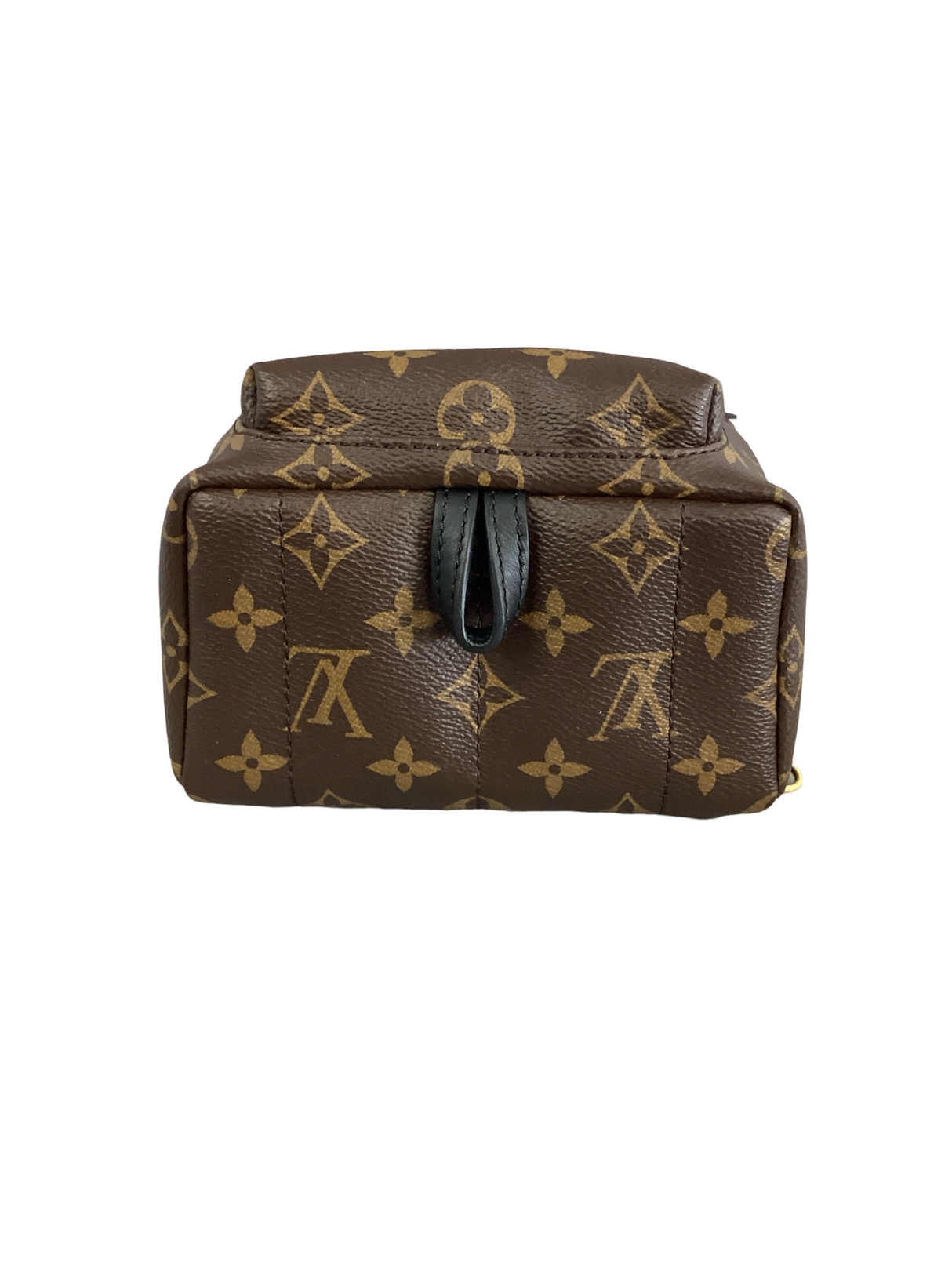 Louis Vuitton Palm Springs Mini Backpack