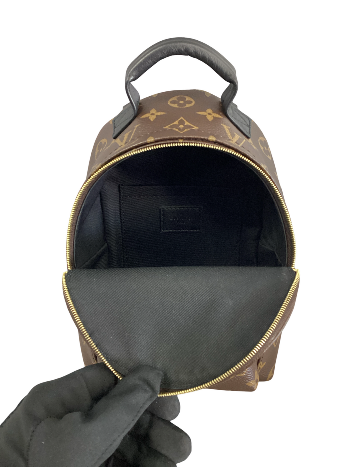 Louis Vuitton Palm Springs Mini Backpack