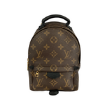 Louis Vuitton Monogram Palm Springs Mini