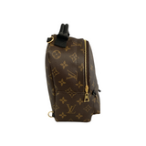 Louis Vuitton Monogram Palm Springs Mini