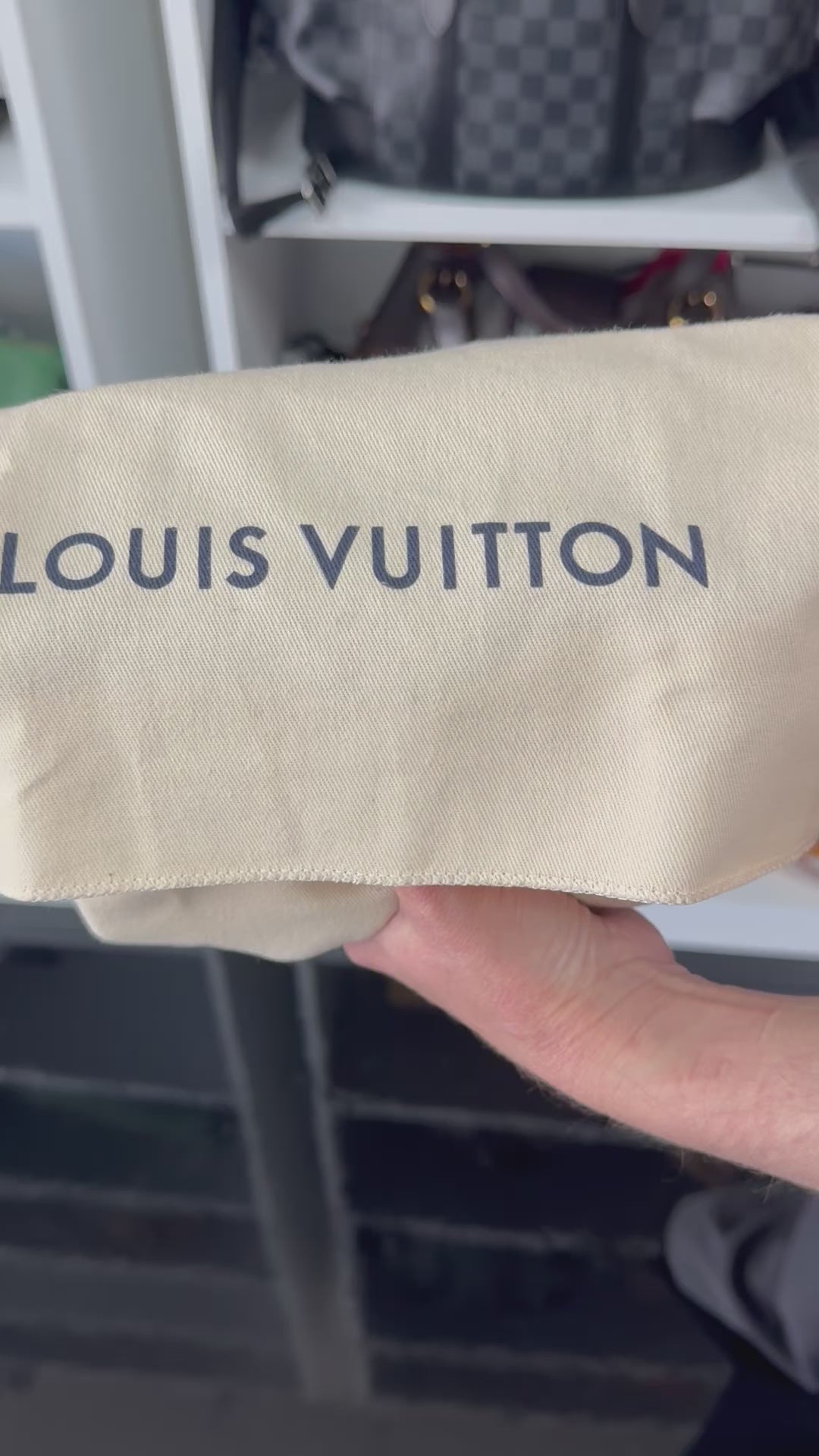 Louis Vuitton Taiga Mini Soft Trunk Bag